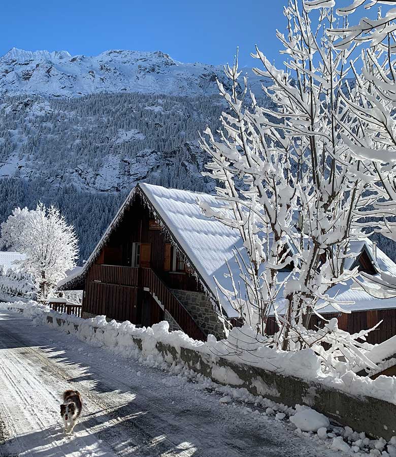 Fouine-haut-hiver