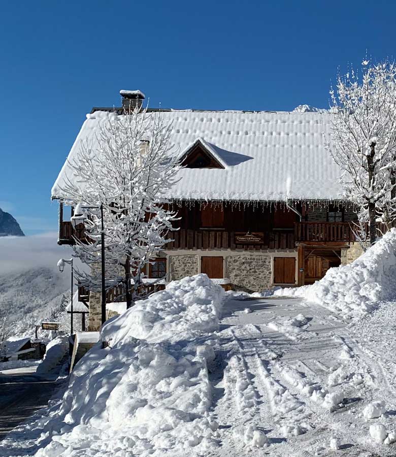 Fouine-haut-hiver2